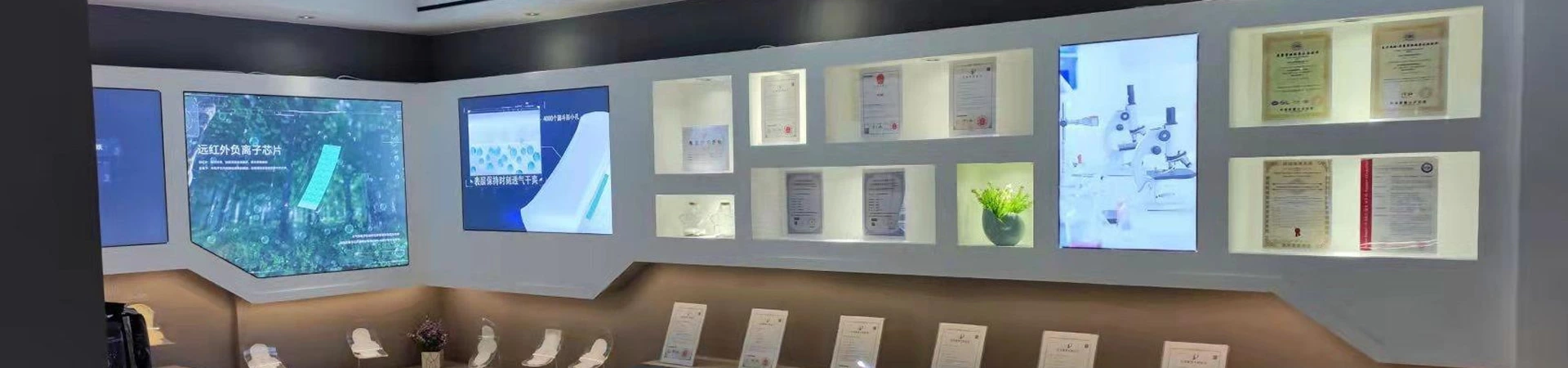 Company Introduction