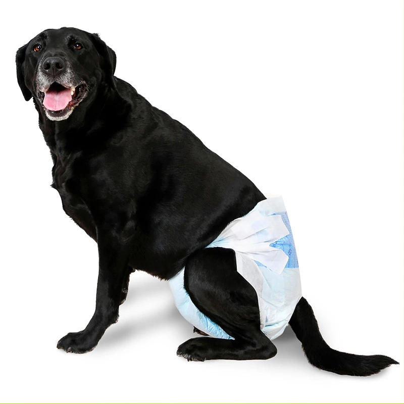 Female Dog Diapers