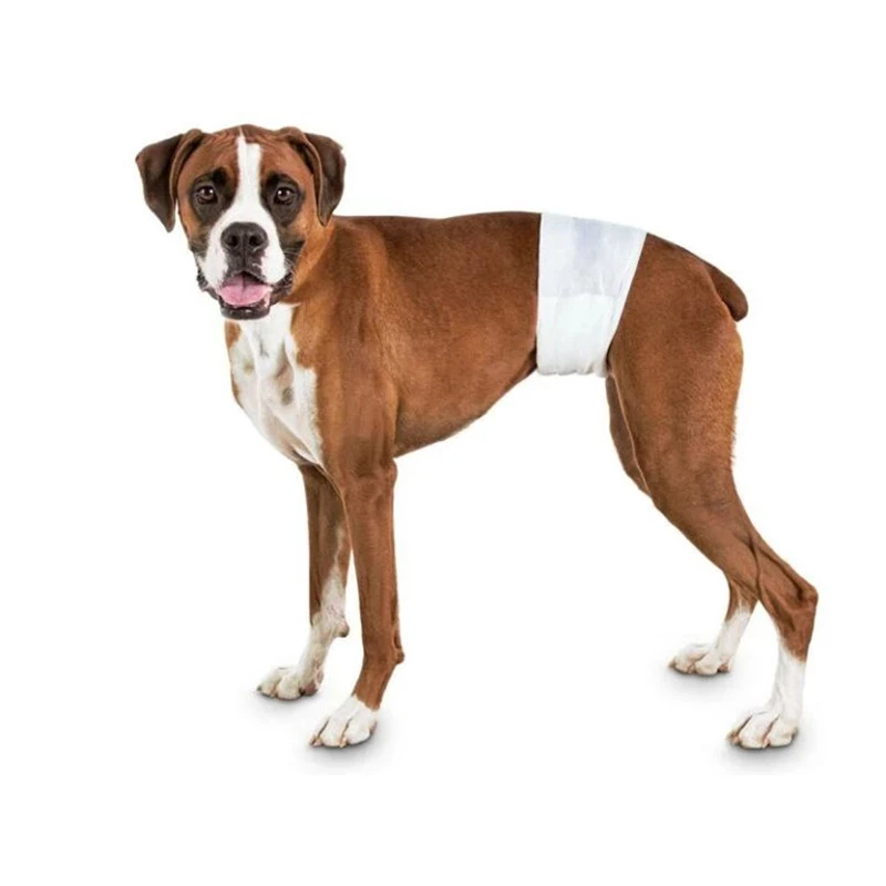 Male Dog Diapers