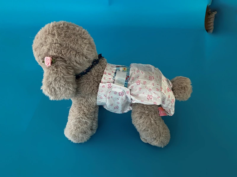 Female Dog Diapers
