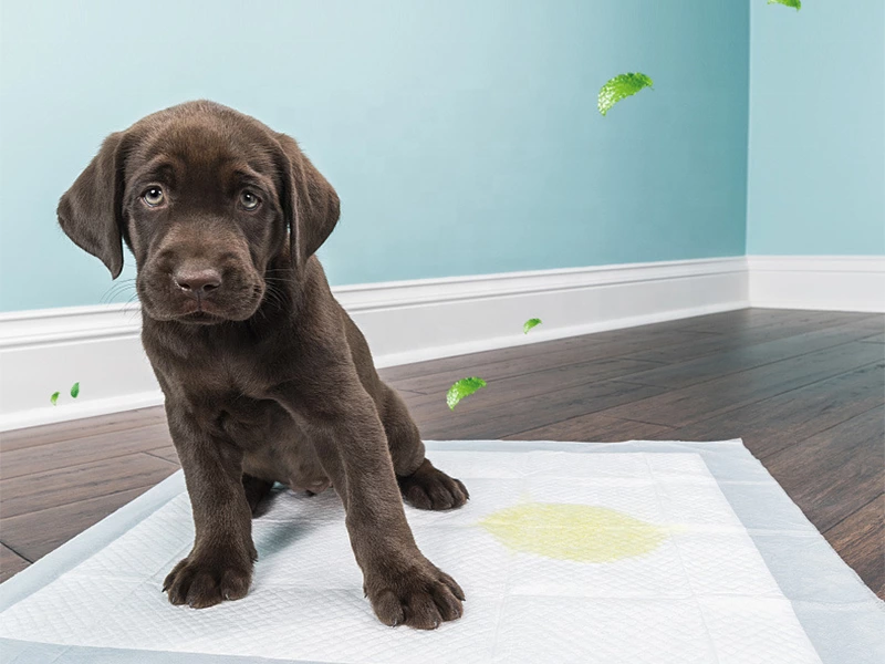 Disposable Puppy Pads (Premium Version)