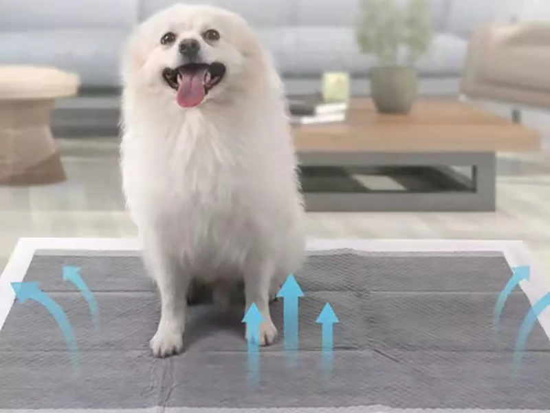 Disposable Puppy Pads (Functional Version)